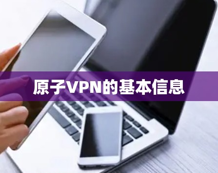 原子VPN的基本信息