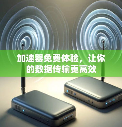 加速器免费体验，让你的数据传输更高效
