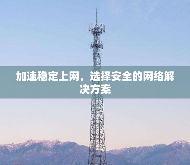 加速稳定上网，选择安全的网络解决方案