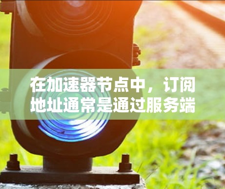 在加速器节点中，订阅地址通常是通过服务端地址和客户端地址组成的。以下是一些常见的订阅地址示例