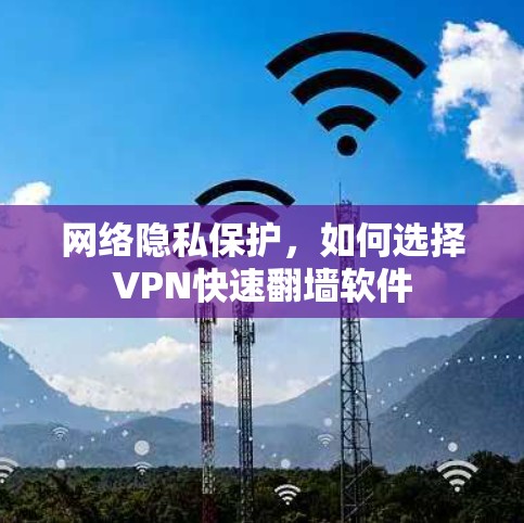 网络隐私保护，如何选择VPN快速翻墙软件