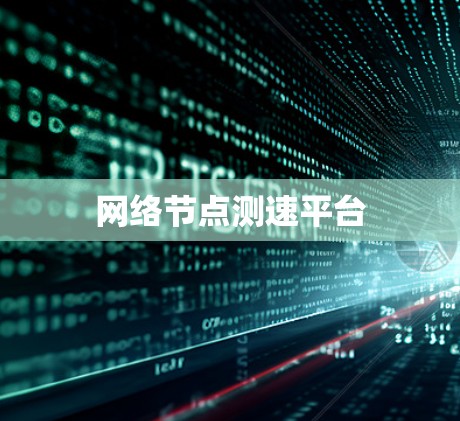 网络节点测速平台