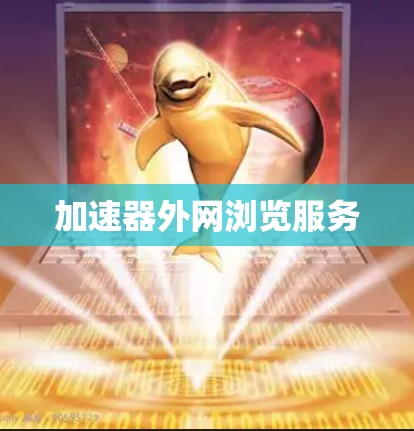 加速器外网浏览服务