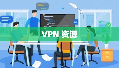 VPN 资源