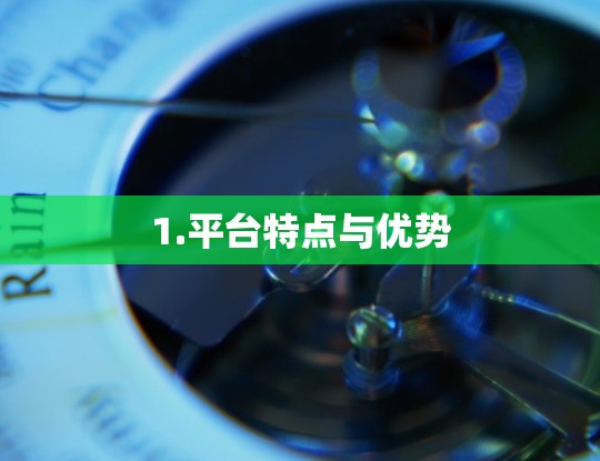 1.平台特点与优势
