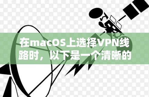 在macOS上选择VPN线路时，以下是一个清晰的步骤指南，帮助您找到最适合您的需求