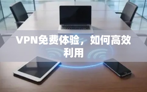 VPN免费体验，如何高效利用