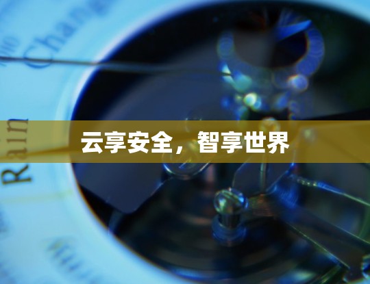 云享安全，智享世界