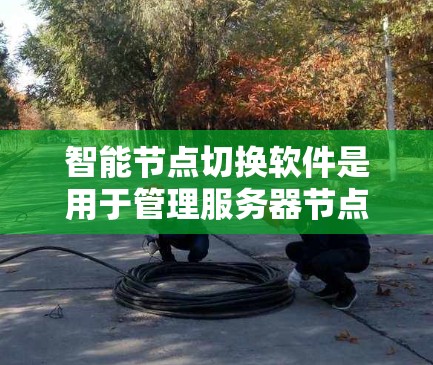 智能节点切换软件是用于管理服务器节点数量和配置的工具，旨在优化资源分配和提升服务器性能。以下是关于这种软件的详细总结