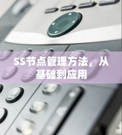SS节点管理方法，从基础到应用