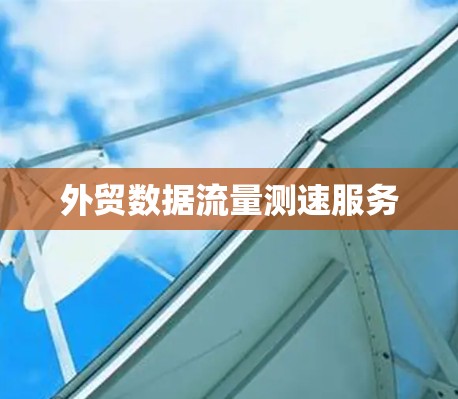 外贸数据流量测速服务