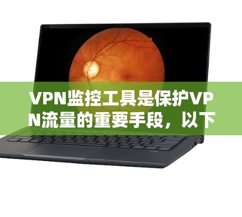 VPN监控工具是保护VPN流量的重要手段，以下是使用这些工具的步骤和注意事项