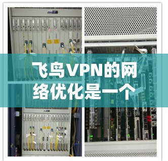 飞鸟VPN的网络优化是一个系统性的过程,涉及多个步骤和方法,旨在确保网络的安全性和效率。以下是一些关键的网络优化方法和步骤,帮助您提升飞鸟VPN的网络性能 飞鸟VPN的网络优化是一个系统性的过程,涉及多个步骤和方法,旨在确保网络的安全性和效率。以下是一些关键的网络优化方法和步骤,帮助您提升飞鸟VPN的网络性能