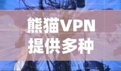 熊猫VPN提供多种手机版本,以适应不同用户的需求。以下是关于熊猫VPN手机版本的详细介绍 熊猫VPN提供多种手机版本,以适应不同用户的需求。以下是关于熊猫VPN手机版本的详细介绍