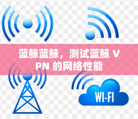 蓝鲸蓝鲸,测试蓝鲸 VPN 的网络性能 蓝鲸蓝鲸,测试蓝鲸 VPN 的网络性能
