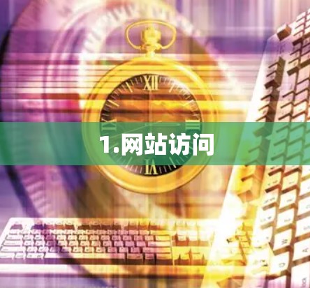 1.网站访问 1.网站访问