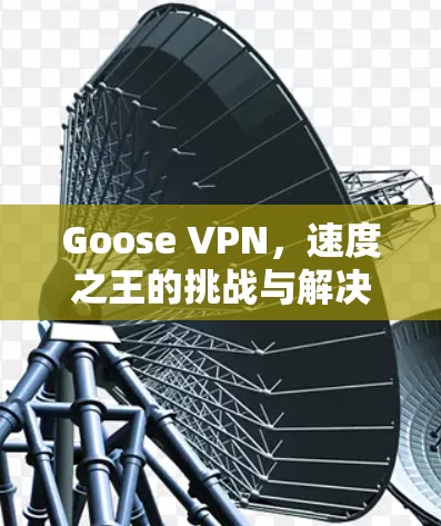 Goose VPN,速度之王的挑战与解决方案 Goose VPN,速度之王的挑战与解决方案