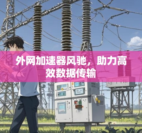 外网加速器风驰,助力高效数据传输 外网加速器风驰,助力高效数据传输
