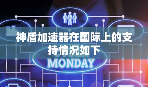 神盾加速器在国际上的支持情况如下 神盾加速器在国际上的支持情况如下