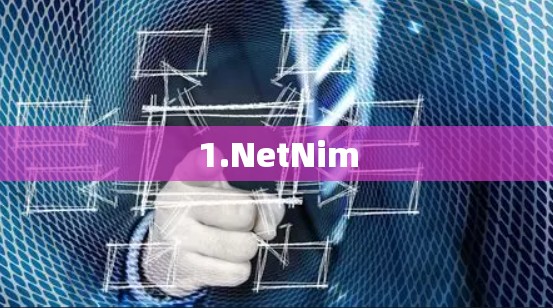 1.NetNim 1.NetNim