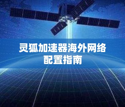灵狐加速器海外网络配置指南 灵狐加速器海外网络配置指南