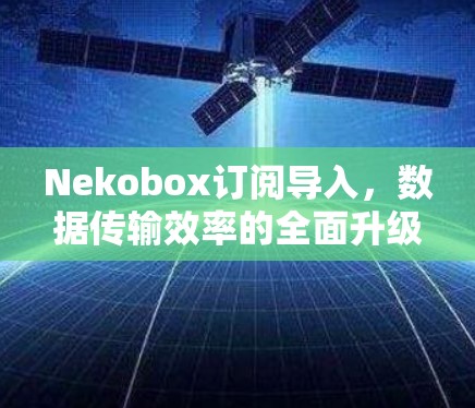 Nekobox订阅导入，数据传输效率的全面升级与用户体验的显著提升