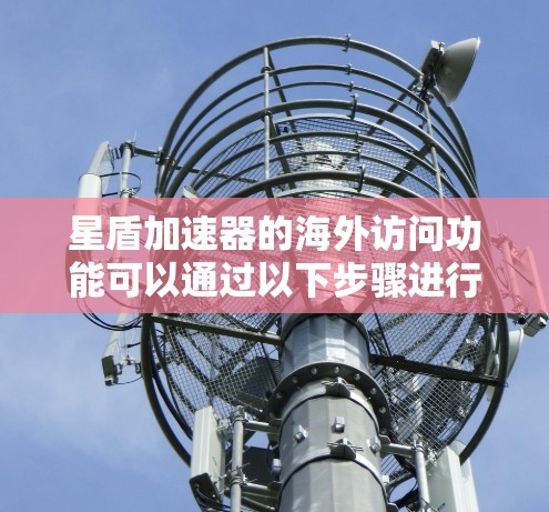 星盾加速器的海外访问功能可以通过以下步骤进行配置