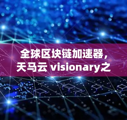 全球区块链加速器，天马云 visionary之光