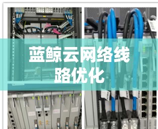蓝鲸云网络线路优化 蓝鲸云网络线路优化